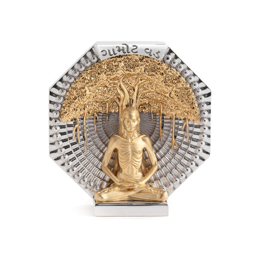 925 Silver Premium Matte Shrimad Rajchandra Coin