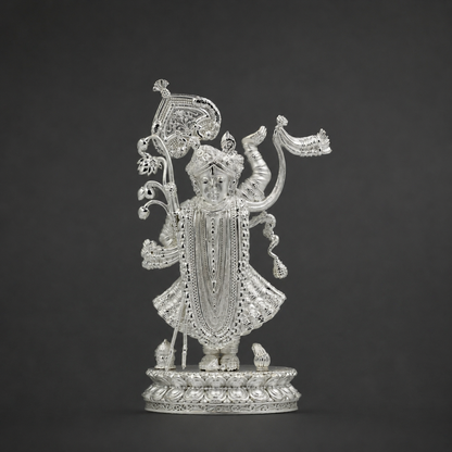 925 Silver Shreenathji