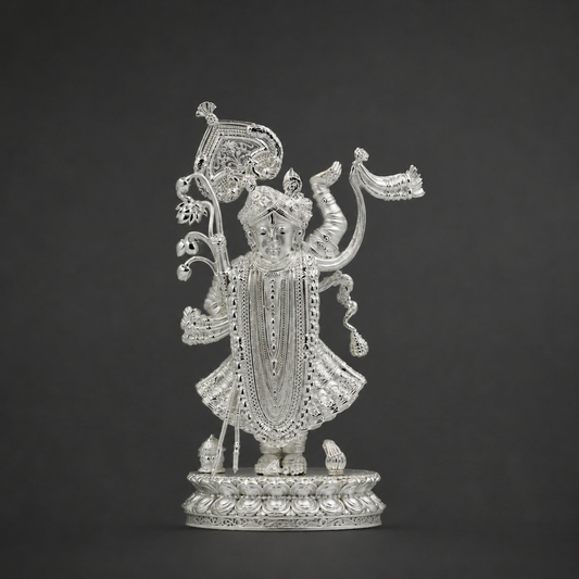 925 Silver Shreenathji