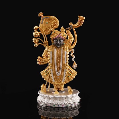 925 Silver Studded Shreenathji