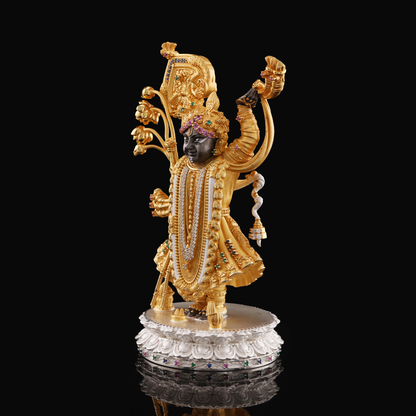 925 Silver Studded Shreenathji