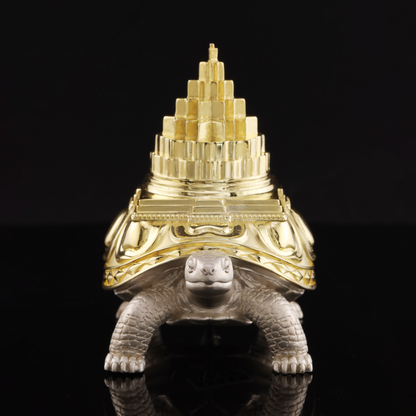 925 Silver Mixed Finish Tortoise with Shri Yantra Design 1