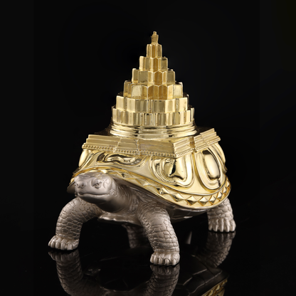 925 Silver Mixed Finish Tortoise with Shri Yantra Design 1