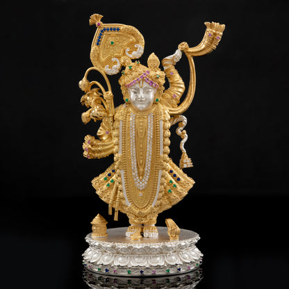 925 Silver Studded Shreenathji
